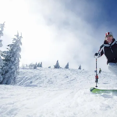 Loeffelschmiede 3* Feldberg (Baden-Wurttemberg)