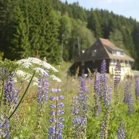 호텔 Loeffelschmiede 3*