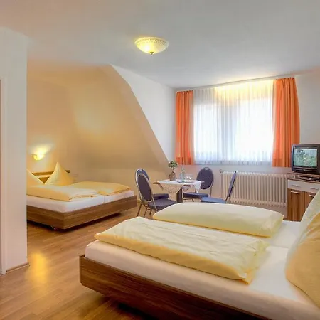 Отель Loeffelschmiede 3*