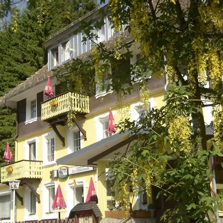 Loeffelschmiede Отель