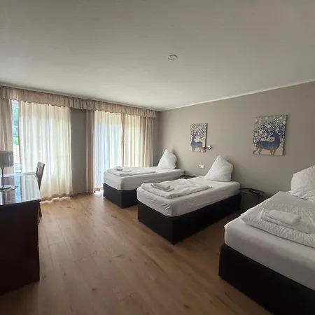 Loeffelschmiede 3* Feldberg (Baden-Wurttemberg)